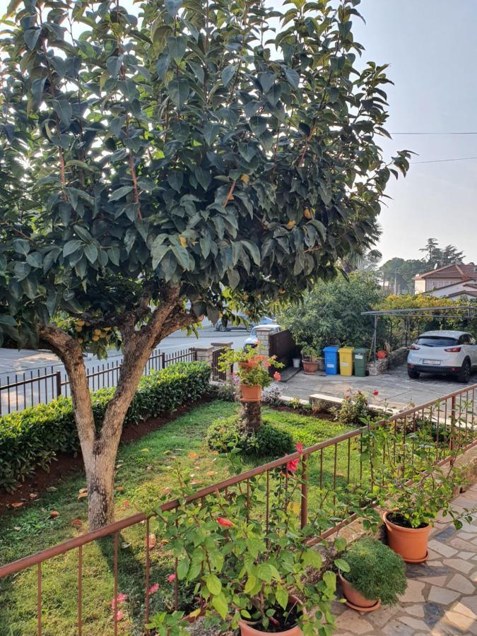 Apartman Bruna 1 Porec Esterno foto